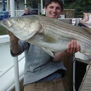 Meet your Posher, Francis